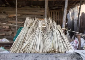 Zanzibar Cultural Brooms