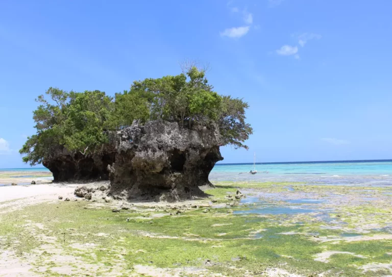 Pemba Island Zanzibar