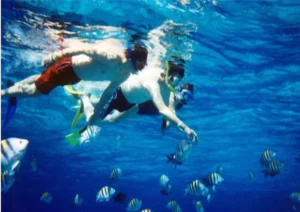 Snorkel Prison Island