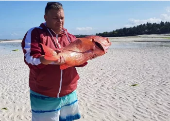 Zanzibar Fish Cought